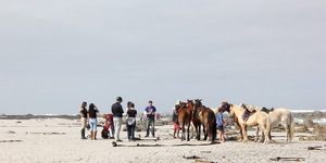 #Gansbaai & Pearly Beach Horse Trails