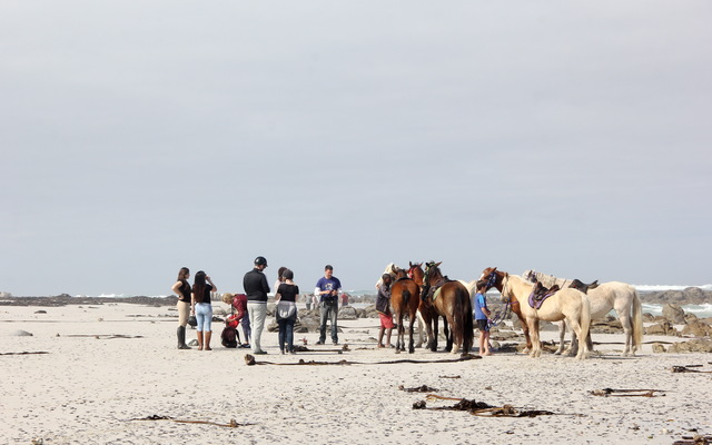 #Gansbaai & Pearly Beach Horse Trails