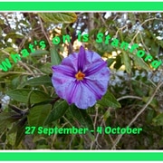 What's on 27 - 4 October