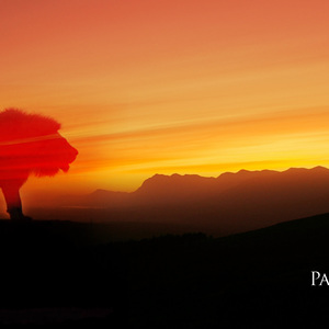 unnamed_93__1538122952