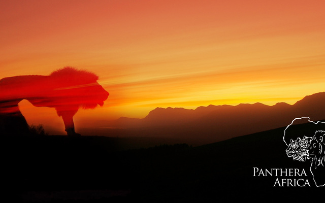 unnamed_93__1538122952