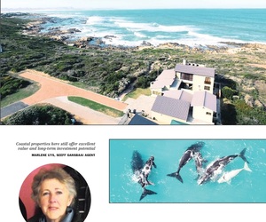 Life next to the ocean