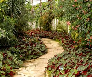 Quote by an unknown author