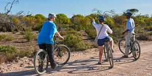 12144670_10153907593621677_1540175778408108243_n_1538478365