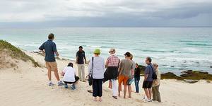 25398750_10155774236151677_7517403940925410238_n_1538478364