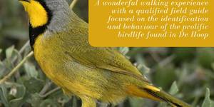 36970782_10156241527406677_4897625257159950336_n_1538478367