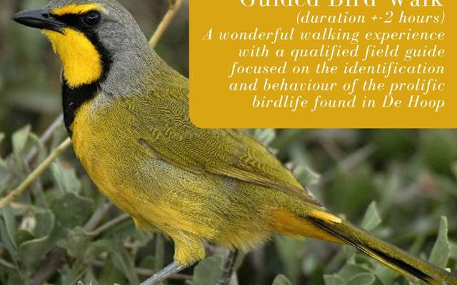 36970782_10156241527406677_4897625257159950336_n_1538478367