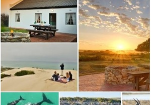 Top 5 Spring Activities