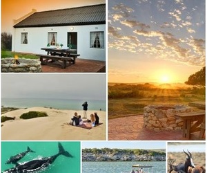 Top 5 Spring Activities