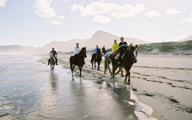 things_to_do_day_trips_beach_horse_riding_1538563061
