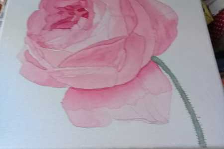 WhatsApp_Image_2018_10_03_at_14.32.31_1538649218