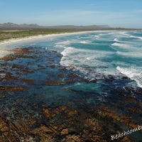 Pearly Beach Reserve by Beachcomber Guide