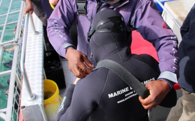 20181016_SF_Trip1_RWatson_IMG198_1539776404