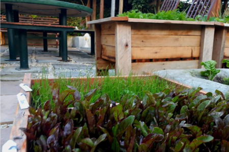 20181016_004029_1539856594