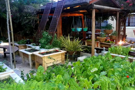 20181016_004053_1539856595