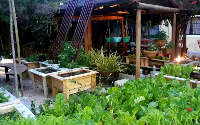 20181016_004053_1539856595