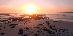 Pearly Beach Horse Trails