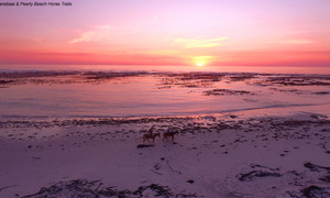 Sunset & Full Moon Trail