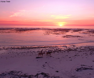 Sunset & Full Moon Trail