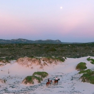 Pearly Beach Horse Trails