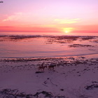 Sunset & Full Moon Beach Trail