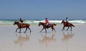 Canters, Swims, Sunsets & Champagne...