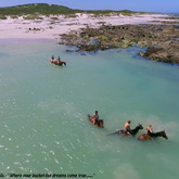 Gansbaai & Pearly Beach Horse Trails