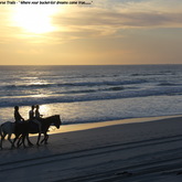 Gansbaai & Pearly Beach Horse Trails