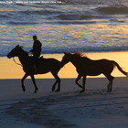 Gansbaai & Pearly Beach Horse Trails