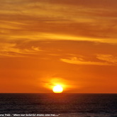 Gansbaai & Pearly Beach Horse Trails