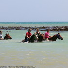 Gansbaai & Pearly Beach Horse Trails