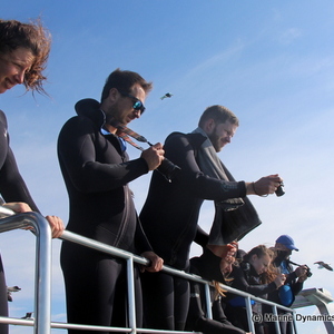 20181113_SF_Trip1_RWatson_IMG049_1542184863