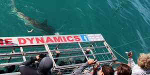 20181113_SF_Trip1_RWatson_IMG092_1542184867