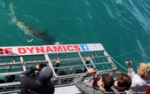 20181113_SF_Trip1_RWatson_IMG092_1542184867