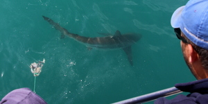 20181113_SF_Trip1_RWatson_IMG116_1542184867