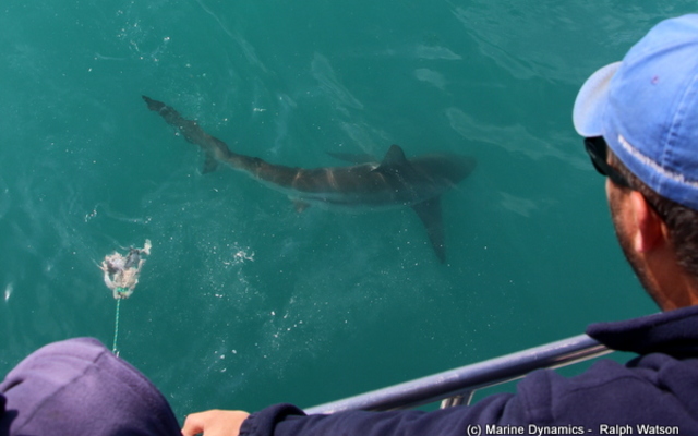 20181113_SF_Trip1_RWatson_IMG116_1542184867