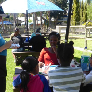 Picture15_1542455607