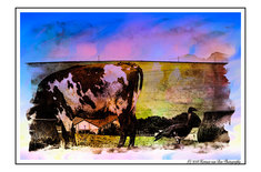 8sept18photographic8_PSYCO_DELICious_1542797110