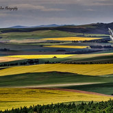 Private Gallery Napier