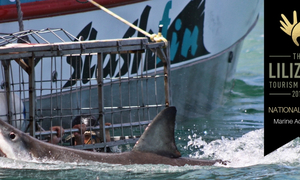 National Lilizela Awards 2018