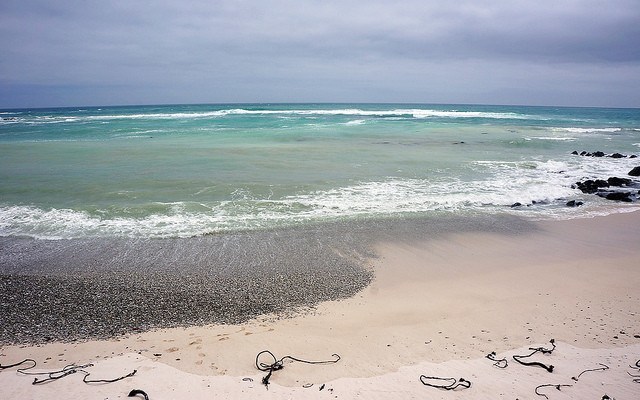 suiderstrand_agulhas_e1467015190226_1543214957