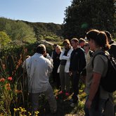 Guided walks at Fynbos Retreat