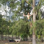 Newest member of the Goodwill family