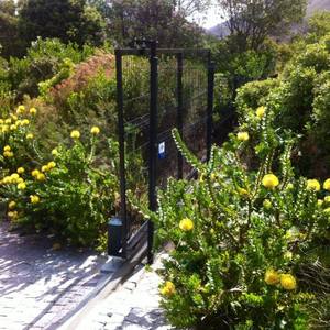 47283302_2007265572686431_3027449028779442176_n_1543566756