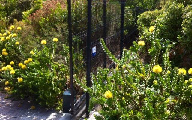 47283302_2007265572686431_3027449028779442176_n_1543566756