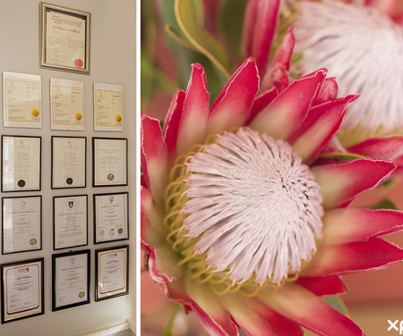 napier_realty_estate_agents_seeff_napier_qualifications_1543579902