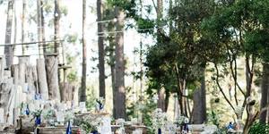 46849249_1983014351768408_7486925353311535104_n_1543924008