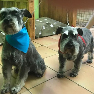 43648058_2245577762332329_2578202579263553536_n_1543925854