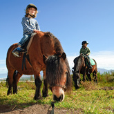 Family Pony Riding - Grootbos Private Nature Reserve - Xplorioâ„¢ Gansbaai 