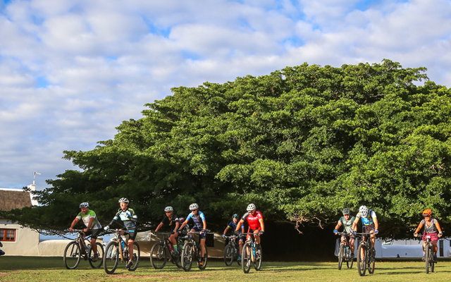 MTB_Xplorio3_1544520373